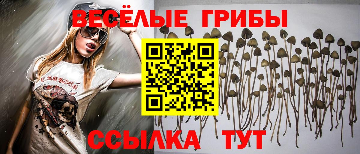Галлюциногенные грибы мицелий  Вход с VPN  Котовск 