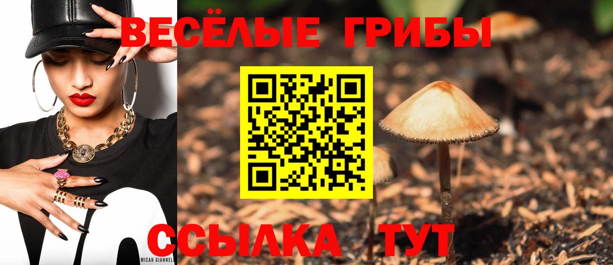 Галлюциногенные грибы мицелий Котовск